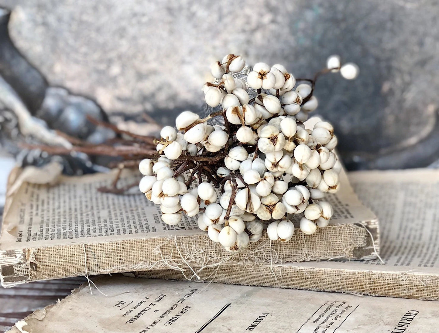 TEXAS TALLOW Berry Bundle